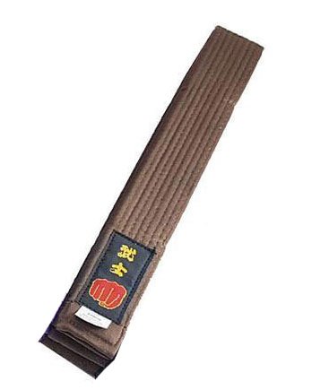 Longford Store UK Karate Belt Martial Arts Taekwondo Judo Kickboxing Ju-Jitsu Shotokan (Brown, 280cm Senior)