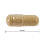 Jamieson Ashwagandha Ultra Strength 6,000 mg, Improves Resistance to Stress, Helps Mental Balance & Emotional Stability, Supports Learning & Memory. No Artificial Flavours. One Per Day, 60 Capsules - Image 3