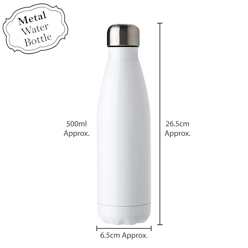 Bouteille d'eau citrons cadeau d'ext&eacute;rieur id&eacute;al en acier inoxydable 500 ml - 5