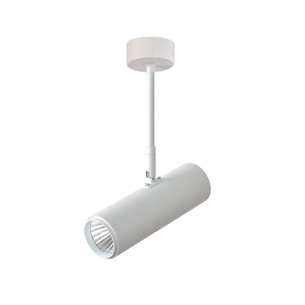 Fixations de plafond en aluminium avec projecteur rotatif haut de gamme