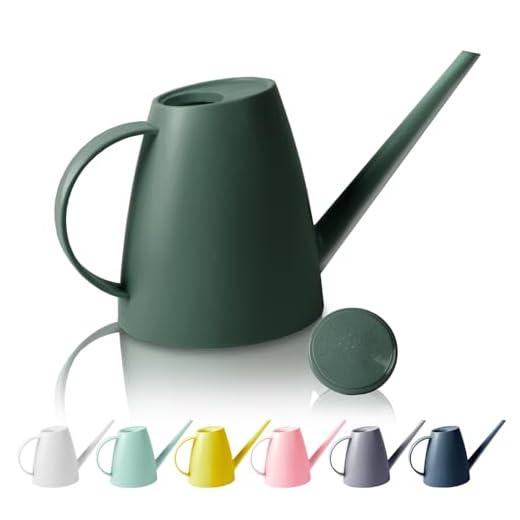 Watering Can for Indoor Outdoor Plants, Modern Small Watering Cans with Removable Nozzle, Long Spout Watering Can for Indoor Bonsai Plants Garden Flowers 1/2 Gallon 1.8L 60OZ (Dark Green)