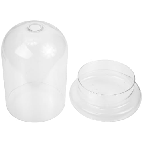 BIUDECO Cubierta de Flor de Vidrio Transparente para Decoración de Jardín y Hogar con Diseño Creativo y Material de Vidrio Resistente para Uso en Estantes o Mesas