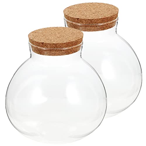 GANAZONO Glass Terrarium Jar 4.33 Inch Spherical Ecological Bottle with Cork Stopper for Diy Mini Landscape Plant Display and Home Decoration Set of 2