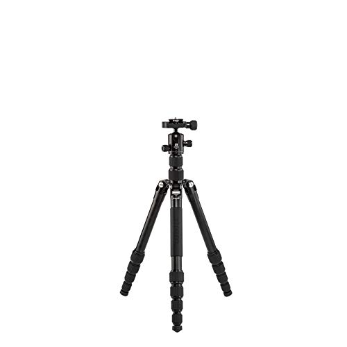 Image of Benro Tripster Travel Tripod/Monopod - 1 Series Black AL (FTR19AB0GBLK)