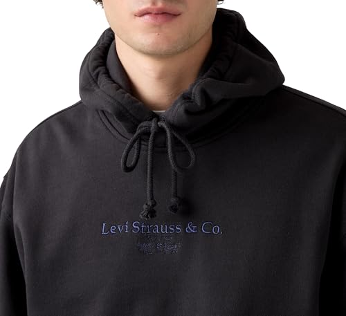 Levi's Men's Relaxed Graphic Po Hooded Sweatshirt, Archival 2hp Phantom, L