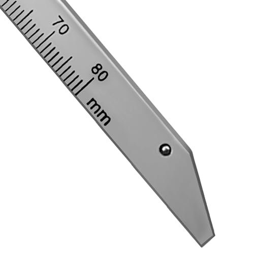 Beerendonk Calibrador 5" 0-80 mm Acero Inoxidable miniatura 5