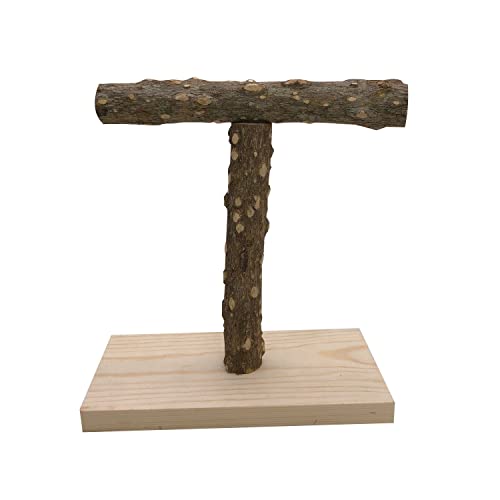 Image of YTLS Tee Bird Tabletop Training Stand，Portable Parrot Play Stands, Natural Wood Bird Cage Toys Gym Playground Cockatiel Playground Wood Perch Gym Playpen for Small Medium Parakeets Conures Lovebirds