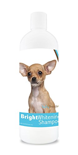 Healthy Breeds Dog Bright Whitening Shampoo for Chihuahua - For White, Lighter Fur - Over 40 Breeds - 12 oz - With Oatmeal For Dry, Itchy, Sensitive, Skin - Moisturizes, Nourishes Coat