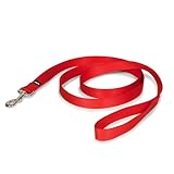 PetSafe Nylon Dog Leash – Strong, Durable, Traditional Style Leash with Easy to Use Bolt Snap – 1" x 6', Red
