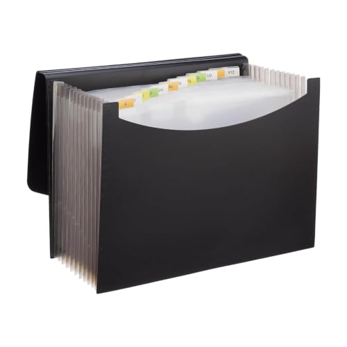 Basics Expanding File Folder 13 Pockets
