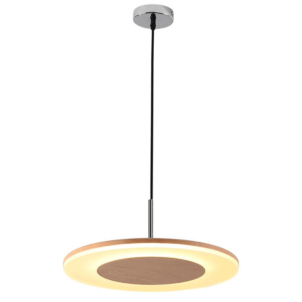 Guugoo Chuangyi Electroplating Metal Disc Pendant Lamp LED Dimmable Acrylic Decoration Hanging Light Simple Dining Room Bedside Single Ceiling Hanging Lamp Adjustable Lighting Lamp,Room