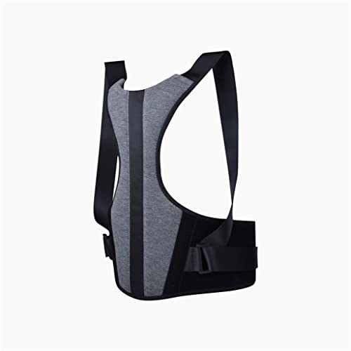Correction du dos pour posture assise prolongée en révision - 7