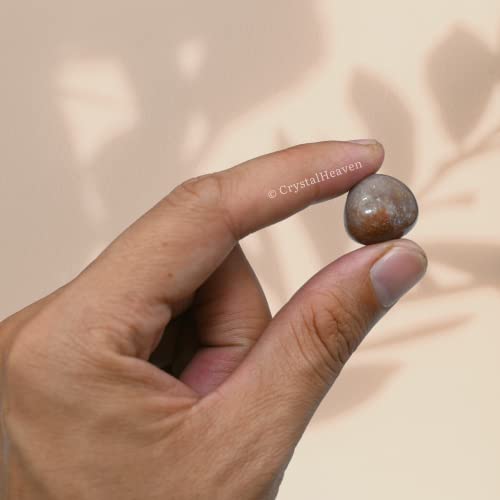 Image of Certified Fancy Jasper Crystal Healing Tumbled Stone, Natural Polished Crystals for DIY Crafts, Manifestation, Meditation, Pooja Feng Shui and Reiki Healing (30 Grams)