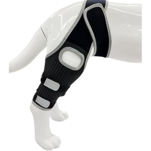 ybgpT|[^[ p nr pi 둫 Gpbh u[X pT|[^[ ^ ^ ^ T|[^[  ֐ veN^[ V pi ی ȒPȒE ߉\ rߖh~ (S,O[)