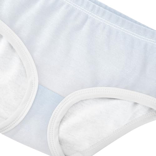 Joisal Cotton Toddler Underwear Floral Blue White Gradient Girl Panties Cute Designer Kids Undies Briefs 2t4