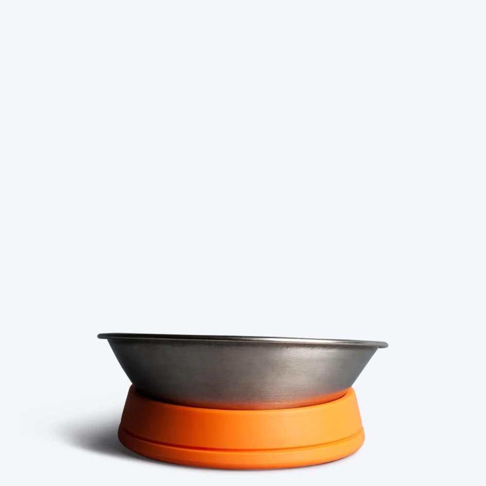HUFT Quintessential Wide Cat Bowl β 710 ml | Whisker-Friendly Design | Wide & Shallow Bowl for Cats | Durable & Easy to Clean | Ideal for Food & Water Daily Feeding 3
