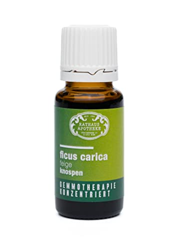 RATHAUS APOTHEKE WIEN Extrait de bourgeons concentré - Gemmothérapie - Ficus carica - Le figuier - 15 ml