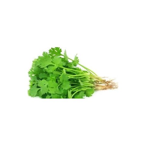 Mixed Herb Selection - 6 Premium Plants Cover