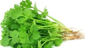 Mixed Herb Plants Selection - Parsley - Sage - Rosemary