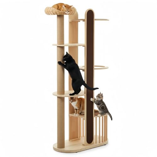 BAVBAV Lbg^[ L^[  u X 173.5cm FD 艺肵₷ ܂Ƃ|[ LnEX }bgtWv ܂Ƃ|[ ^ ^L ^ gȒP  CeA  ȃXy[X