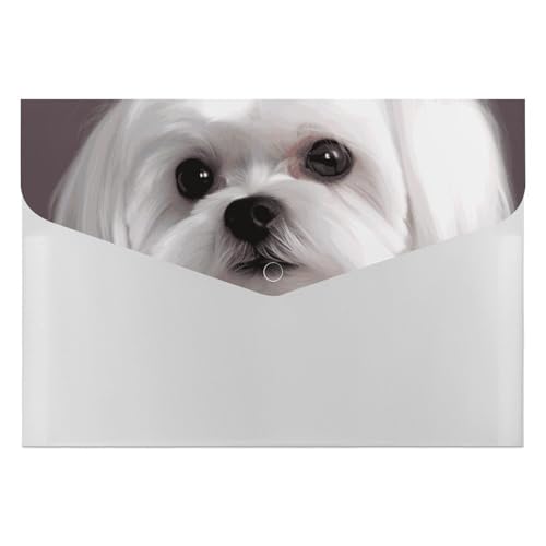 Porte-documents chien maltais à 6 compartiments pour éviter le désordre