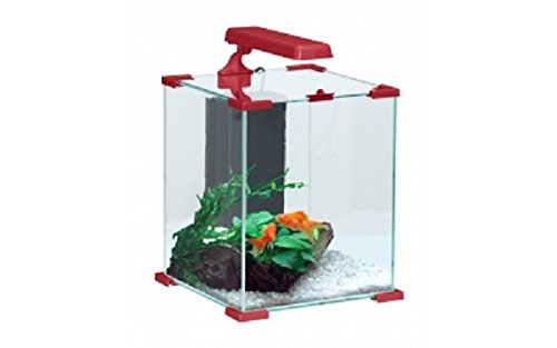 Acquario nanolife tendence con filtro e luce