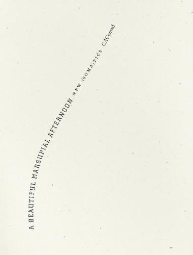 Beautiful Marsupial Afternoon