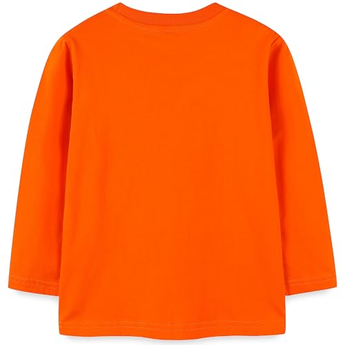 Image of AIWUHE Toddler Cotton Sweatshirt Boys Girls Pullover Long Sleeve Tops 2-6Y