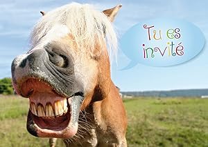 Edition Colibri (10619 FR 10 invitations en Français Cheval drôle: lot de 10 cartes d'invitation tendres et illustrées avec un c