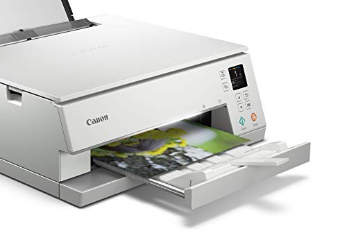 Canon Ts6320 All-In-One Wireless Color Printer With Copier, Scanner And Mobile Printing, White, Works With Alexa #TOP5