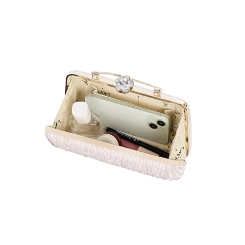 Image of Lavie Women's Tara Framed Clutch | Ladies Purse Handbag