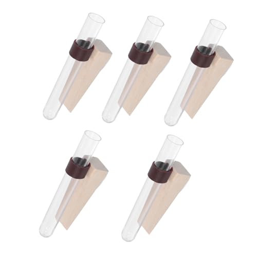 OFFSCH 5 Piezas Jarrones Colgantes de Pared para Plantas Tubos de Ensayo para Propagación Hidropónica Decoración Funcional y Ahorro de para y Oficina