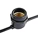 Novelty Lights 37.5 Feet Heavy Duty Light String with 25 in-Line E26 Sockets, Black Wire PVC Commercial Grade Stringer, 18