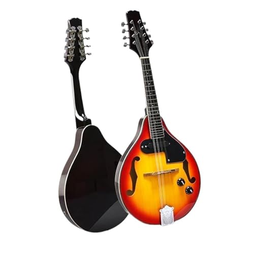 マンドリン 初心者」の人気商品一覧 | 安い商品を通販サイトから探す