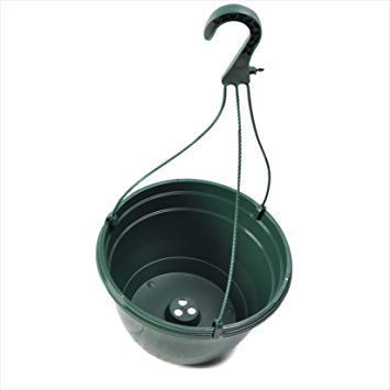 The Flowerpot Men 25CM PLASTIC HANGING POTS BASKETS PLANTERS (x10, Green)