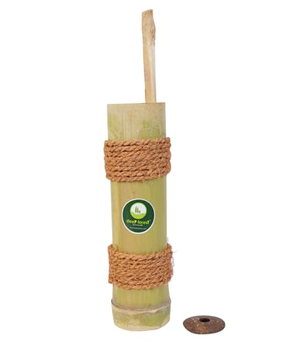 Image of Deep Forest Bamboo Puttu Maker|Traditional Puttu making with Cooker| Kerala puttu maker | Steamer- Green & Natural- Hand Made - Produced from Natural bamboo & Coconut Shells - Pack of 1