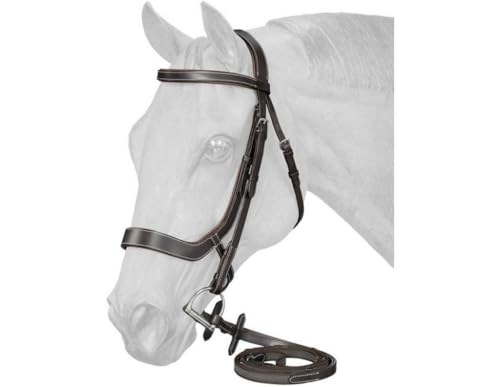 Equitare Cadence Ergonomic Bridle Brown