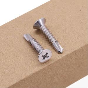 Tornillos autorroscantes 410 acero inox 100 pcs miniatura 4