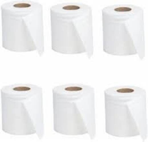 PVA Household Toilet Paper Rolls 2 Ply Pack of 12 (B09YMB51H8) Amazon Price History, Amazon Price Tracker