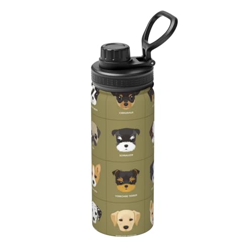 ������ ���� �� �k�� ������ ���� �A�j�� ���� �^��f�M �ۉ� �ۗ� �X�|�[�c�{�g�� �l�C �X�e�����X�{�g�� �X�|�[�c�����Ή� �R��Ȃ� ������530ml �j�̎q ���̎q ������� ��l �q�� �O�b�Y �L�����N�^�[ �G��