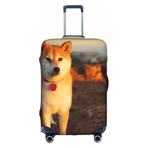 [zhandiffy] [ĂČ̃{P LN^[ObYQbWJo[ v[gpQbWJo[ S