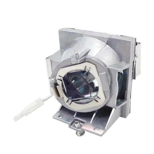 Ampoule de projecteur RLC-108 pour soirées cinéma réussies avec PA503X et PS600X