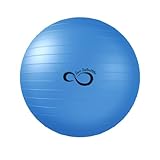 Exercise Ball -Professional Grade Exercise Equipment Anti Burst Tested with Hand Pump- Supports 2200lbs- Includes Workout Guide Access- 55cm/65cm/75cm/85cm Balance Balls (Blue, 75 cm)