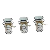 Pots de fleurs en métal - style campagnard : pot à plantes en métal pour créer un look vintage. ce pot de fleur peut être utilisé dans n'importe quelle partie de votre maison.