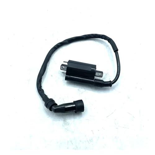 Bobine d'allumage pour Linhai 260 300 et YP250 Buyang