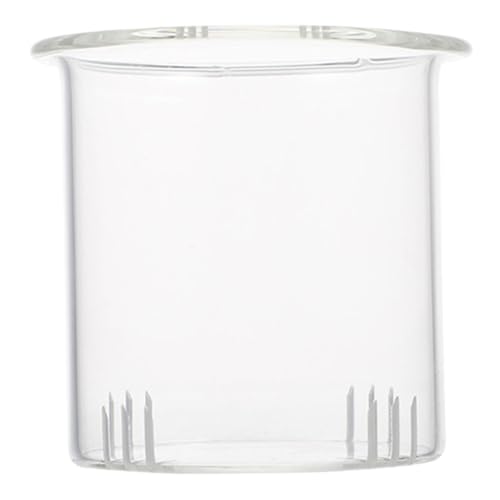 Beavorty Infusore in Vetro per Tè Sfuso Filtro Rimovibile, Colino per Teiera da 600 Ml, Adatto per Infusi di Erbe e Tisane, Uso Domestico per Pause Pomeridiane