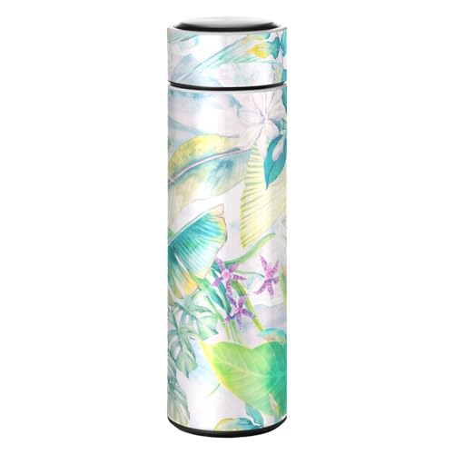 SoreSore  500ml fB[X ۉۗ 8 ԕ t nC GKg O[ }O{g 0.5L Y XeX  ^fM e  X|[chN{g @r X 􂢂₷ y ^ѕ֗ 