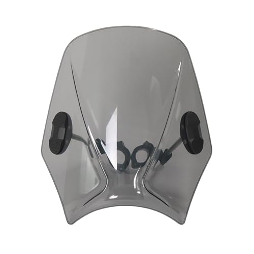 Pare-brise moto phare rond rue Benelli Leoncino 500 250 gris clair
