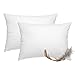 2er Set Federkissen 100% Federn 30x50 cm - 330g OekoTex Kissen Füllkissen Bezug Baumwolle weiß I Innenkissen / Kissenfüllung / kleine Kopfkissen (viele Maße) (2 Stück)