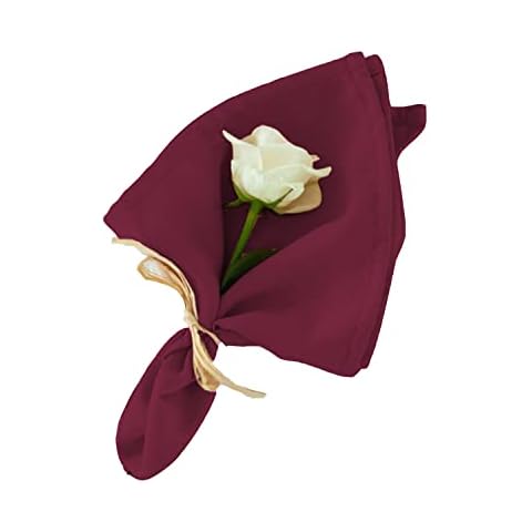 Elegant Event Essentials Burgundy Tablecloth Napkins Cover